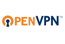 Open VPN